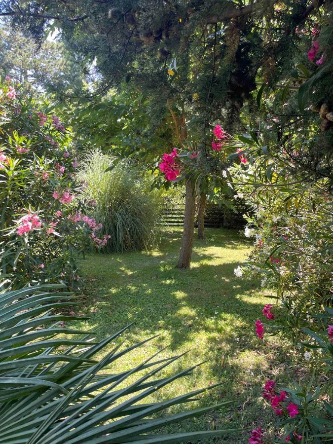 Gites Au Chateau Des Estubiers Les Granges-Gontardes Zewnętrze zdjęcie
